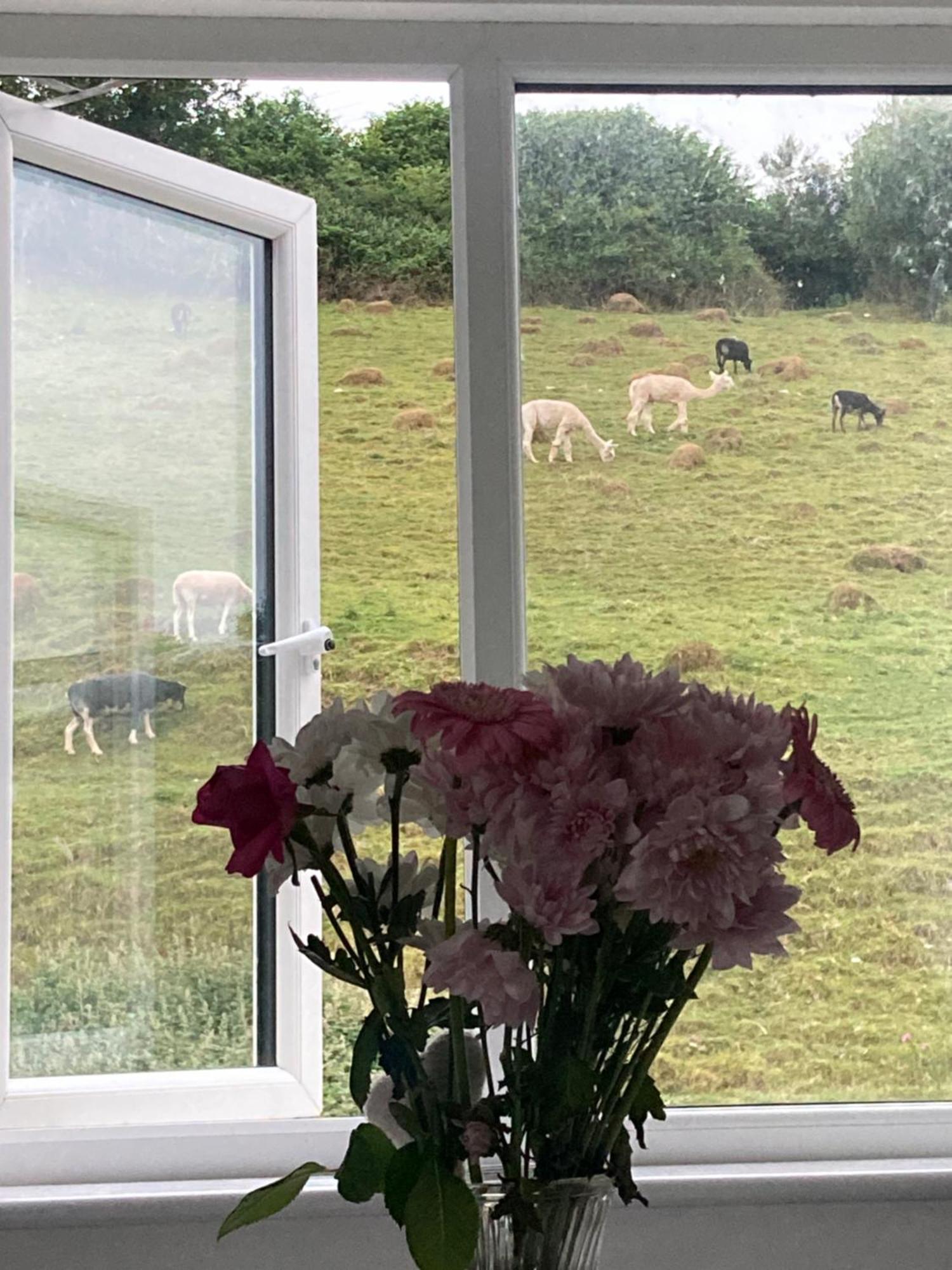 Ruby's Retreat! Farm Stay! North Devon! Sleeps 6! Beaches Exmoor! Barnstaple