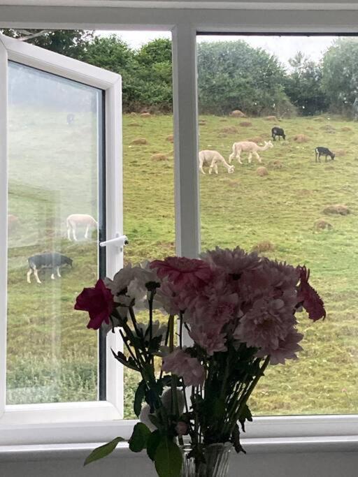 Holiday home Ruby's Retreat! Farm Stay! North Devon! Sleeps 6! Beaches Exmoor!